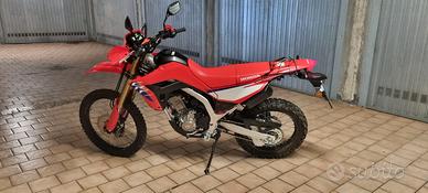 Crf 300 L 2025