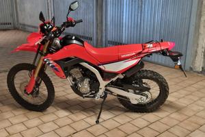 Crf 300 L 2025
