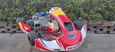 Telaio Go kart Birel s14