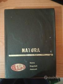 NATURA TERRA VEGETALI ANIMALI 1900 
