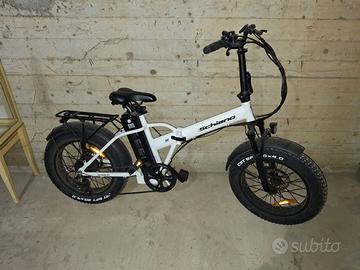 Bicicletta elettrica