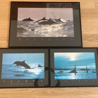 Lotto 3 poster fotografici Talbot marini