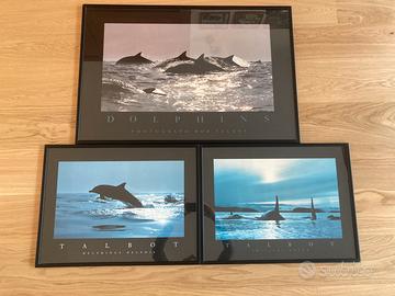 Lotto 3 poster fotografici Talbot marini