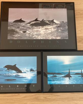 Lotto 3 poster fotografici Talbot marini