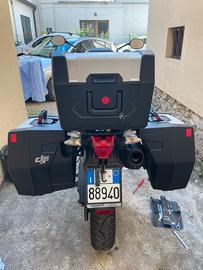 Tris borse valigie triumph tiger 800