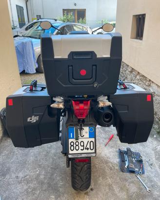 Tris borse valigie triumph tiger 800