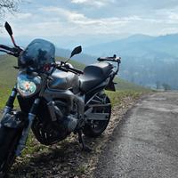 Yamaha fz6 