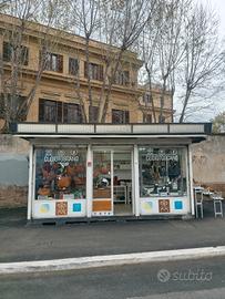 CHIOSCO licenza Viale Regina Elena