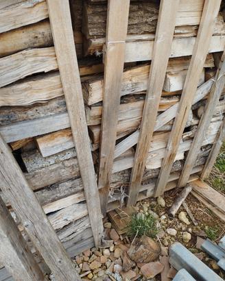 legna da ardere secca