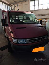 Iveco Daily 35C14 cassonato