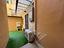 Immagine 22