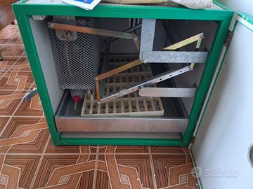 incubatrice e allevatrice