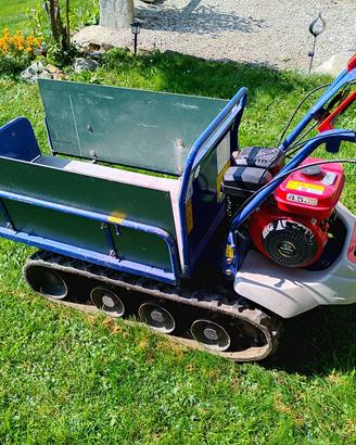 Motocarriola cingolata professionale