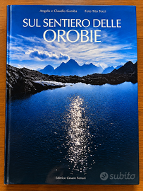 Sul Sentiero delle Orobie – Gamba, Tito Terzi