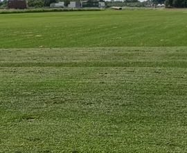 Terreno agricolo di 4 ha con pozzo al centro