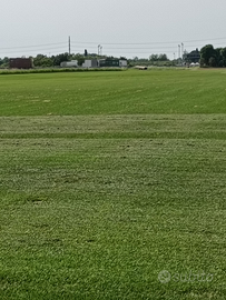 Terreno agricolo di 4 ha con pozzo al centro