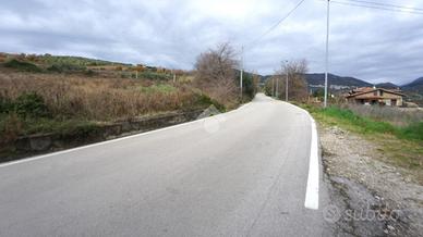TER. AGRICOLO A MONTECORVINO PUGLIANO