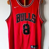 Nba Nike Swingman Canotta Basket Chicago Bulls