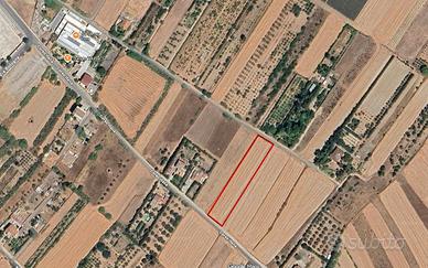Terreno zona su pardu sestu