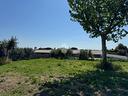 terreno-a-albano-laziale