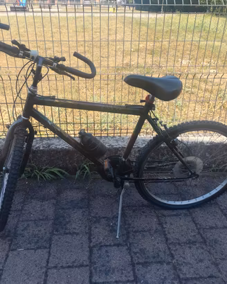 Bicicletta