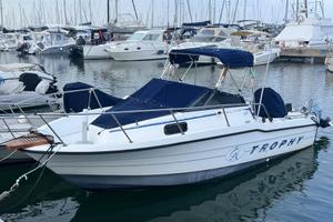 Bayliner Trophy 2002 (1992)