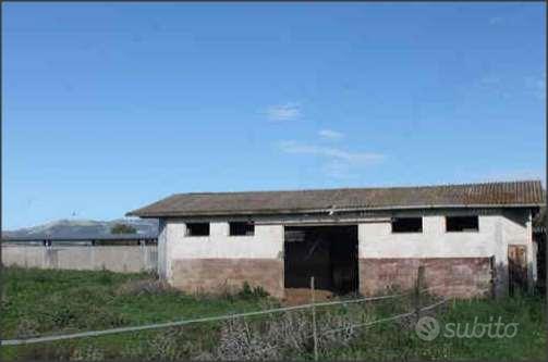 Terreno Agricolo a Cisterna di Latina