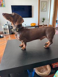 Bassotto nano Choco per monta