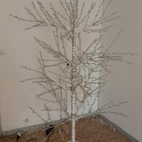 Albero luminoso da esterno in ferro e led