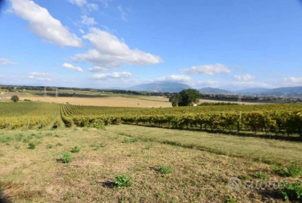 Immobile in asta di 116240 m² a Montefalco - Vista 2