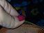 Immagine 1
