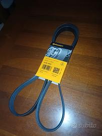 Cinghia Servizi / Alternatore Continental 6 PK 161