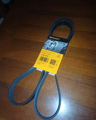 Cinghia Servizi / Alternatore Continental 6 PK 161