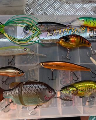 Lotto esche Bass fishing
