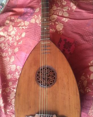 Liuto a 6 corde ( chitarra ) 1923