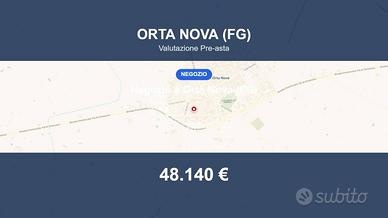 Immobile in asta di 101 m² a Orta Nova
