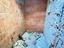Immagine 11
