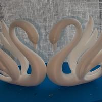 Coppia di cigni innamorati con base acqua