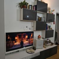 Mobile TV  con TV 48’ ed Impianto Cinema