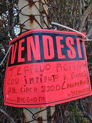 Vendita terreno agricolo