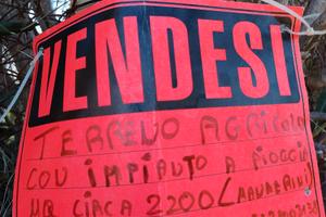 Vendita terreno agricolo