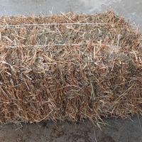 fieno  per pacciamatura orto cappello
