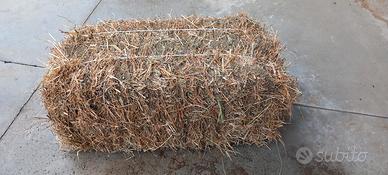 fieno  per pacciamatura orto cappello