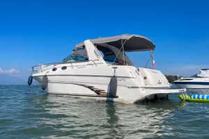Sea ray 290 sundancer