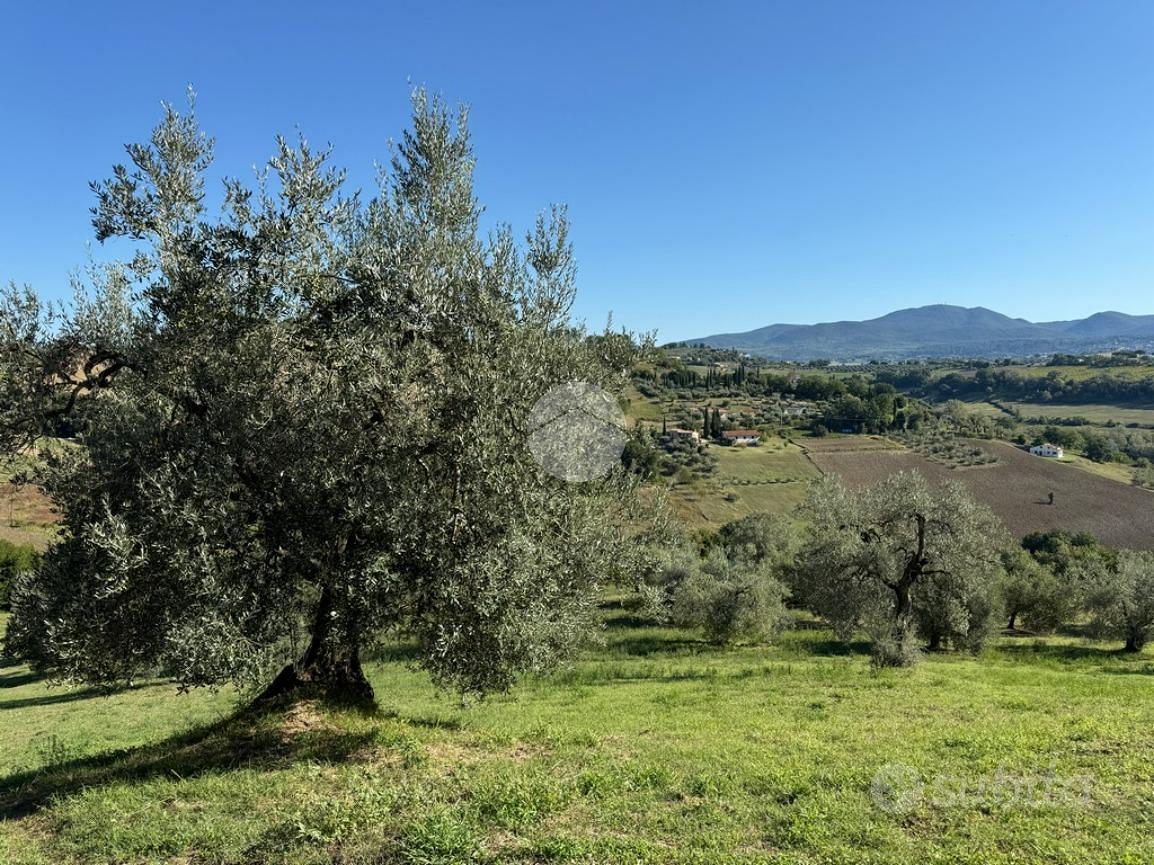 TER. AGRICOLO A MAGLIANO SABINA - Altro