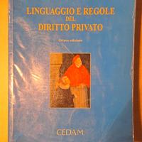 Linguaggio e regole del diritto privato 2007