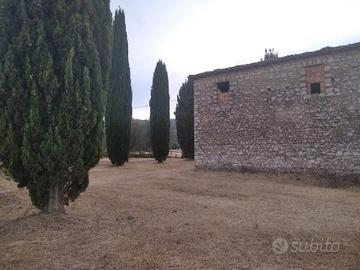 Casolare con terreno agricolo