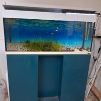 acquario ferplast 210 litri