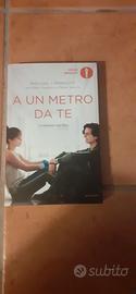Romanzo del film A UN METRO DA TE