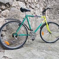 Mtb Orion revisionata